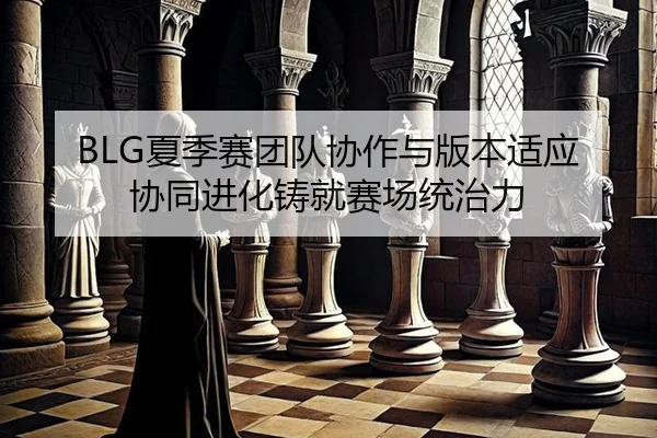 BLG夏季赛团队协作与版本适应协同进化铸就赛场统治力
