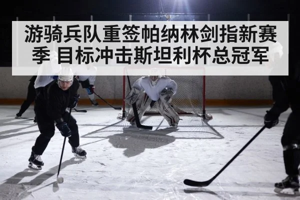 ice hockey game action